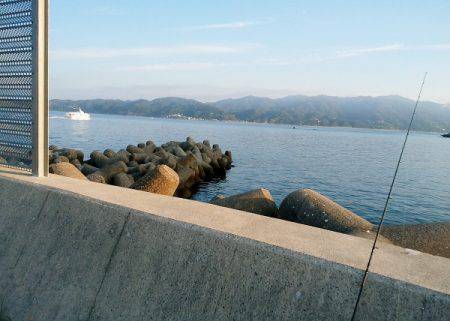 沼島でシイラのトップゲーム
