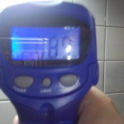 久しぶりの大タコ