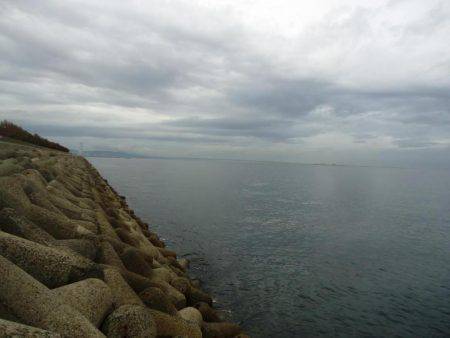 貝塚人工島ショアジギング