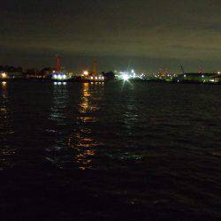 満月のアジはやっぱり釣り難かった