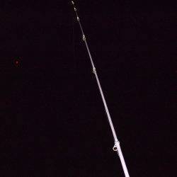 タチウオ釣り。