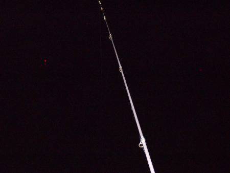 タチウオ釣り。