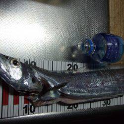 すこしの違いで釣果に差が。