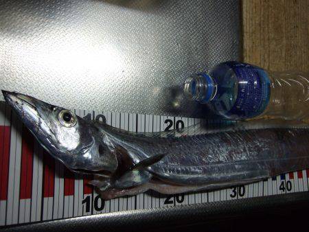 すこしの違いで釣果に差が。