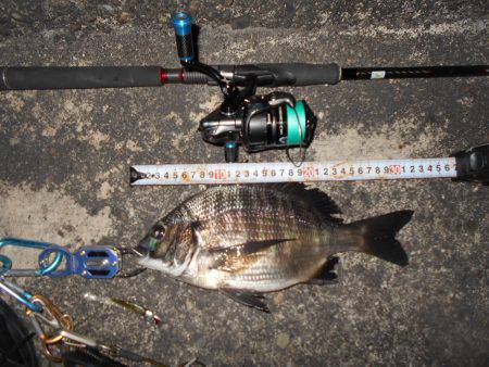 絶好調のテクトロチヌゲーム。