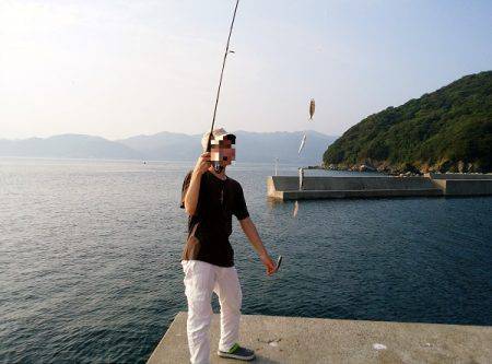 沼島 泊波止赤灯台でサビキ釣り