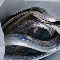 ランガン刀狩り