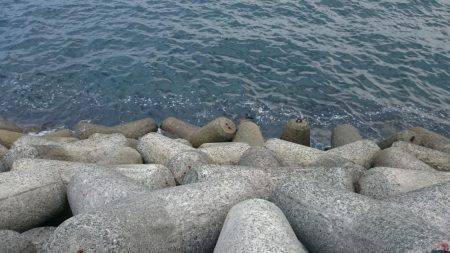 刀狩り＋軟体動物