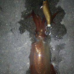 友人達とわいわいライトエギングでケンサキイレノリ♪