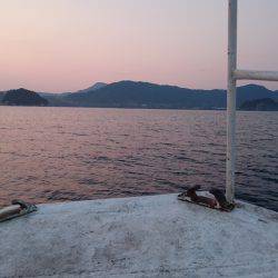 イカメタル２戦目