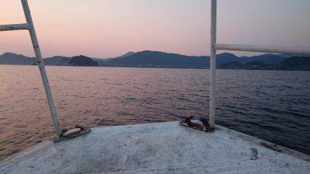 イカメタル２戦目