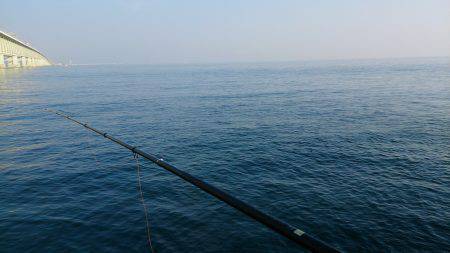 ええ雰囲気でしたが・・