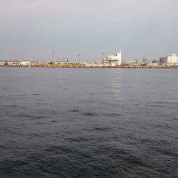 太刀魚渋かった