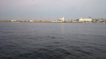 太刀魚渋かった