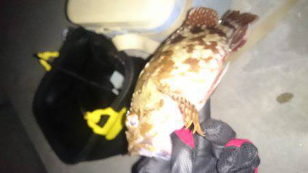 エギングのちガシリング