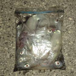 雨のちケンサキ