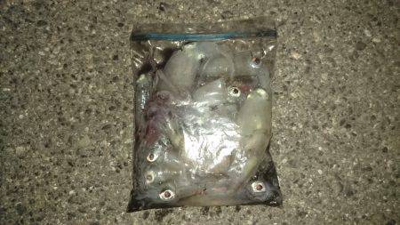 雨のちケンサキ