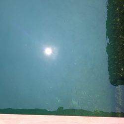 田ノ浦で良サイズのイワシ