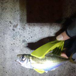 渋かったです。