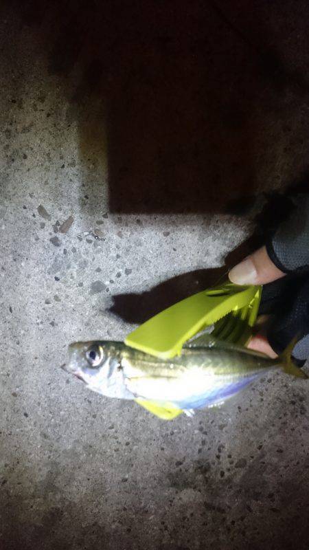 渋かったです。