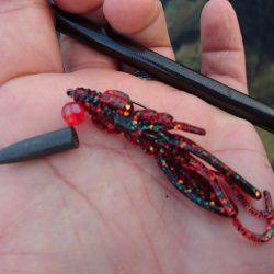 ゴロタで根魚狙い