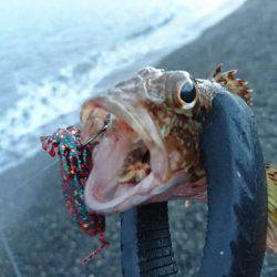 サーフエギング