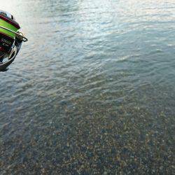 サーフの新子調査