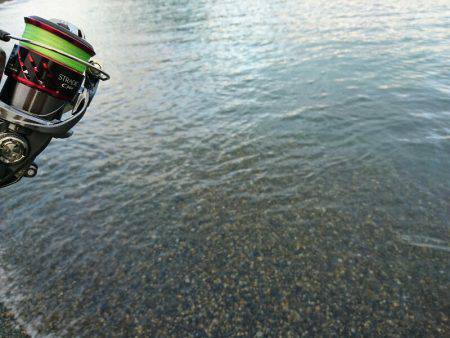 サーフの新子調査