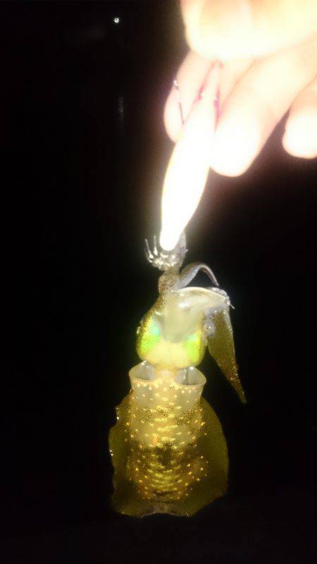 アジング釣行記