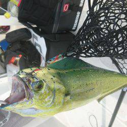 スロジギ&キャスティング