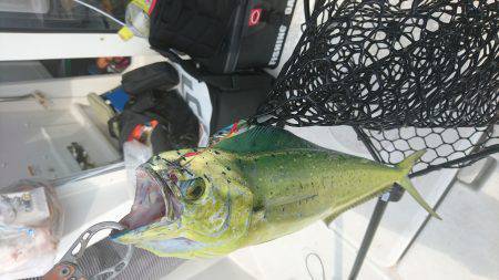 スロジギ&キャスティング