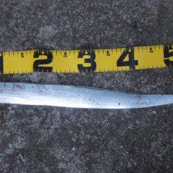 タチウオと底物！！