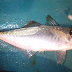 みんなで楽しく