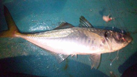 みんなで楽しく