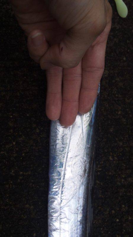 台風後のタイウオ調査