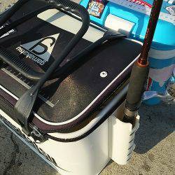 夕まづめ1時間勝負は撃沈。