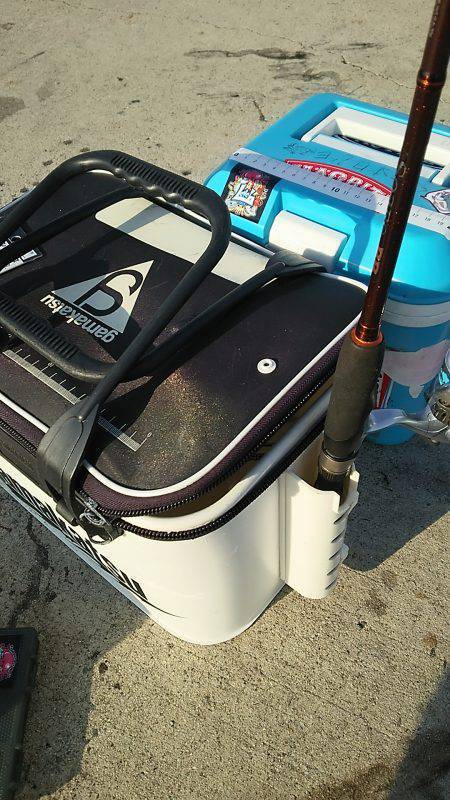 夕まづめ1時間勝負は撃沈。