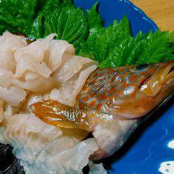 グルーパーゲーム