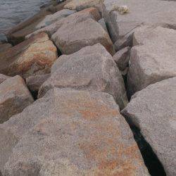 南芦屋浜石畳のウキ釣り