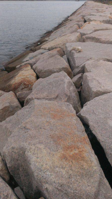 南芦屋浜石畳のウキ釣り