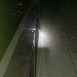 夕涼みにキビレ