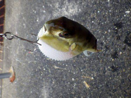 どうにかボウズは免れた・・・