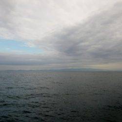 5日連続のショアジギ