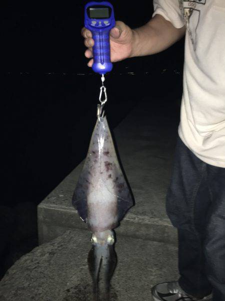 こんなの釣るつもりでは・・・