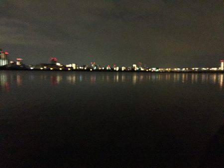 キビレ調査　ＮＯ，７