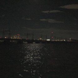 キビレ調査　ＮＯ，９