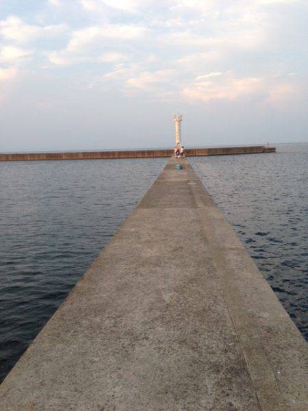 早朝ルアーフィッシング