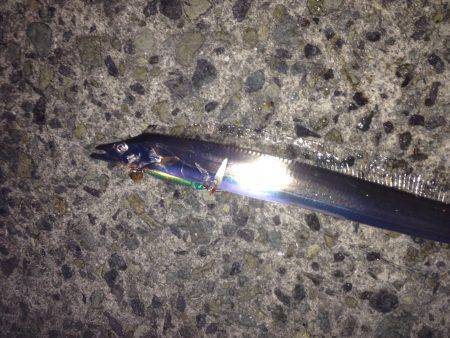 夕マズメにジギング