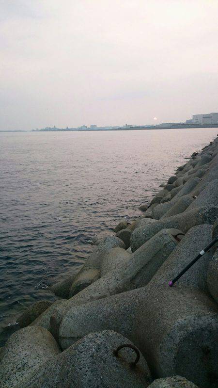 ショアジギング開幕！