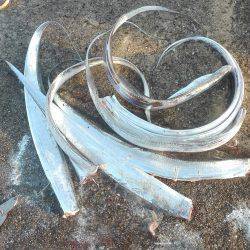 ダブルヒットタチウオ